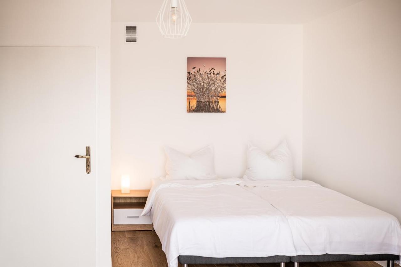 Cieply Zakatek Apartment Ревал Стая снимка